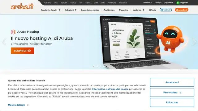 Website preview for Aruba