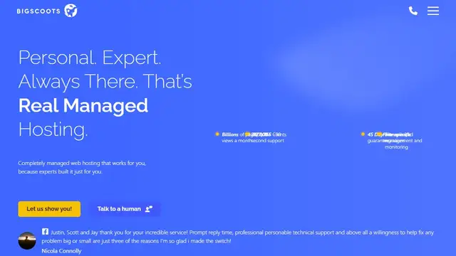 Website preview for BigScoots