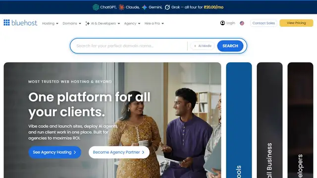 Website preview for Bluehost India