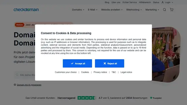 Screenshot of the CheckDomain website