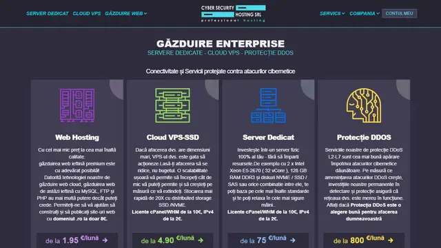Website preview for DDoS Hosting