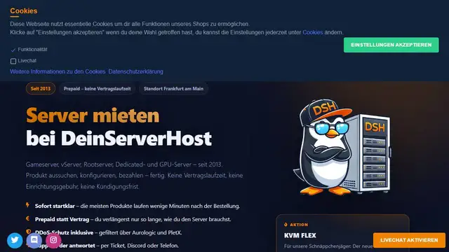 Screenshot of the Dein Server Host website