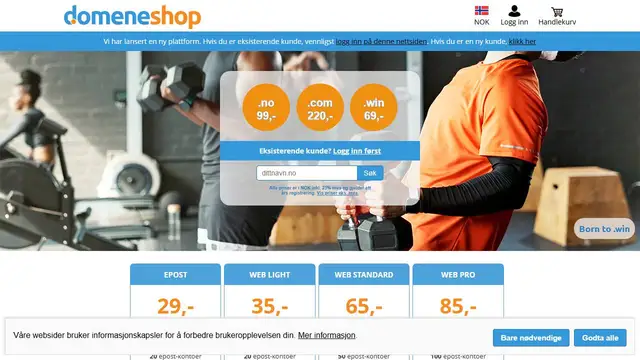 Website preview for Domeneshop
