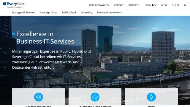 Screenshot of the EveryWare website