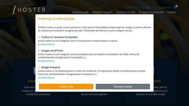 Website preview for Hoster.ro