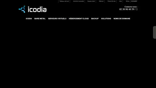 Website preview for Icodia - Network Integrity