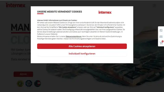 Website preview for internex