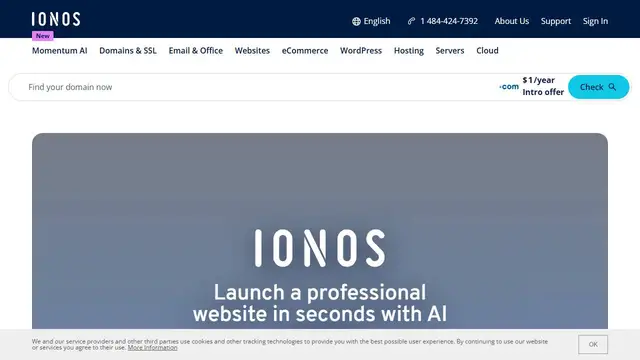 Screenshot of the IONOS website