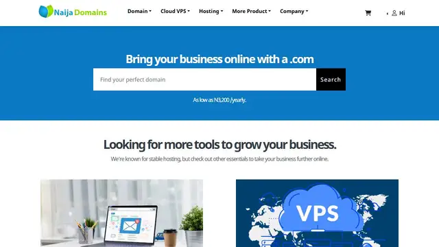 Website preview for Naija Domains