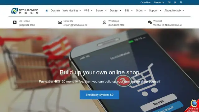 Website preview for Nethub
