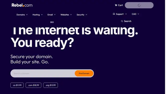 Website preview for Rebel