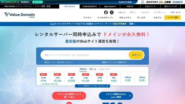Screenshot of the VALUE-DOMAIN website