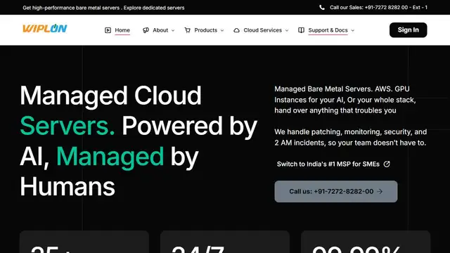Website preview for Wiplon