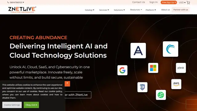 Website preview for ZNetLive